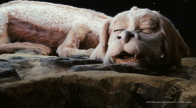 The NeverEnding Story: A Masterclass in Blending Cinematic Techniques